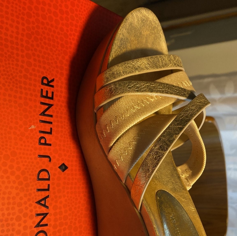 Strappy gold wedges: Donald j pliner platino M080